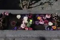 元町厳島神社(神奈川県)