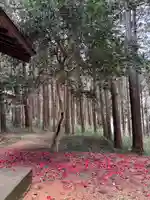日枝神社(埼玉県)