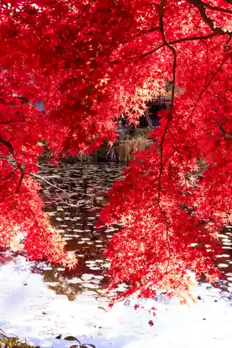 大原野神社(京都府)