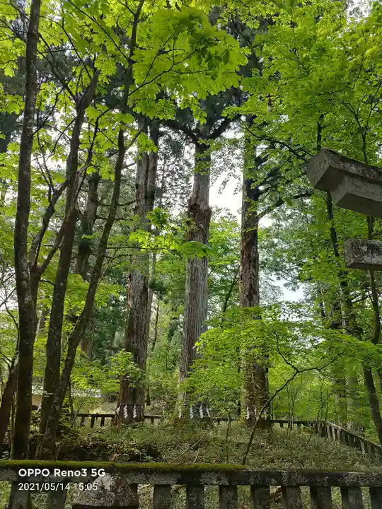 瀧尾神社(日光二荒山神社別宮)の自然