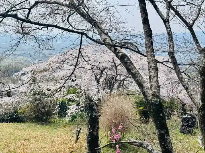 地蔵院の{uncategorized: "未分類", other: "その他", undefined: "問題あり", building: "その他建物", grave: "お墓", sacred_gate: "鳥居", guardian: "狛犬", statue: "像", buddha: "仏像", history: "歴史", nature: "自然", garden: "庭園", animal: "動物", pagoda: "塔", temizu: "手水舎", mountain_gate: "山門・神門", sanctuary: "本殿・本堂", subordinate: "末社・摂社", art: "芸術", scenery: "景色", jizo: "地蔵", ema: "絵馬", goshuin: "御朱印", omikuji: "おみくじ", items: "授与品その他", amulet: "お守り", goshuincho: "御朱印帳", eats: "食事", festival: "お祭り", votive_dance: "神楽", shichigosan: "七五三参", wedding: "結婚式", experience: "体験その他", initially: "初詣", around: "周辺", anti_infection: "感染症対策"}