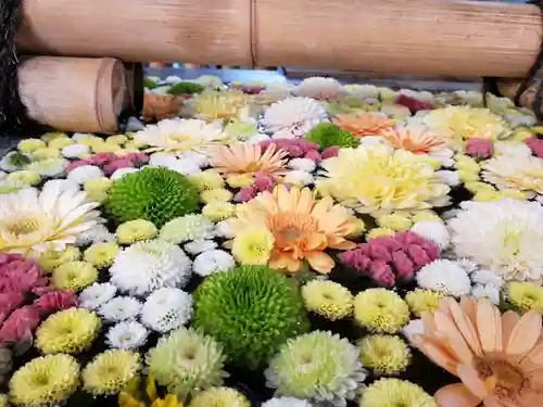 高円寺氷川神社の手水