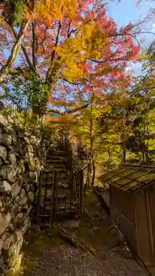 高山寺(京都府)
