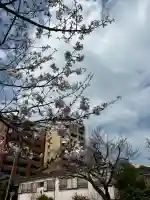 生麦神明社の{uncategorized: "未分類", other: "その他", undefined: "問題あり", building: "その他建物", grave: "お墓", sacred_gate: "鳥居", guardian: "狛犬", statue: "像", buddha: "仏像", history: "歴史", nature: "自然", garden: "庭園", animal: "動物", pagoda: "塔", temizu: "手水舎", mountain_gate: "山門・神門", sanctuary: "本殿・本堂", subordinate: "末社・摂社", art: "芸術", scenery: "景色", jizo: "地蔵", ema: "絵馬", goshuin: "御朱印", omikuji: "おみくじ", items: "授与品その他", amulet: "お守り", goshuincho: "御朱印帳", eats: "食事", festival: "お祭り", votive_dance: "神楽", shichigosan: "七五三参", wedding: "結婚式", experience: "体験その他", initially: "初詣", around: "周辺", anti_infection: "感染症対策"}