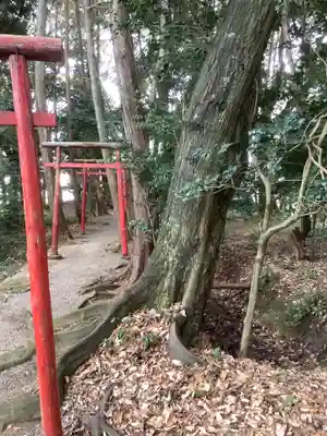 天道宮神明社(前原)の鳥居