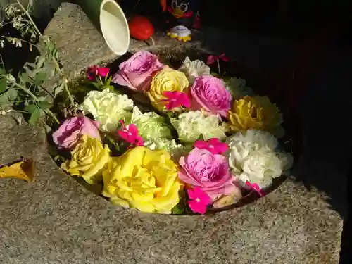 宗隆寺の手水舎