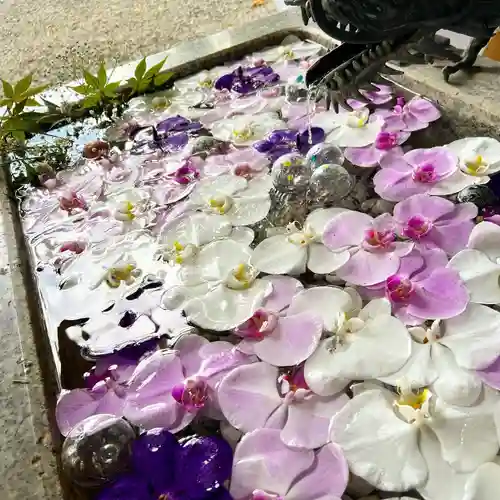 札幌諏訪神社の手水舎