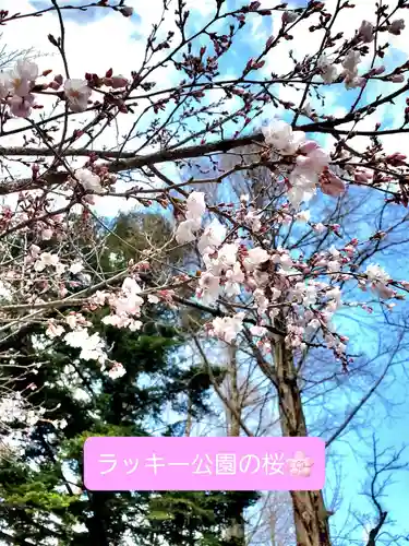 開成山大神宮(福島県)