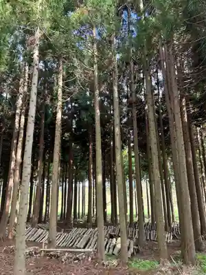 🌸乙部八幡神社(北海道)