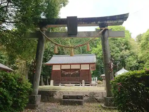 志賀神社の鳥居