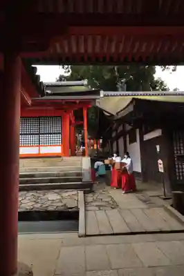 春日大社(奈良県)