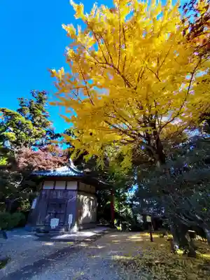 太龍寺(徳島県)
