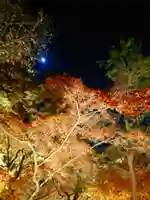 東福禅寺(東福寺)(京都府)