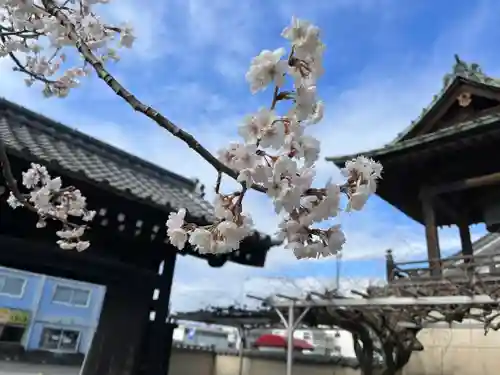 秩父札所十三番 慈眼寺の自然