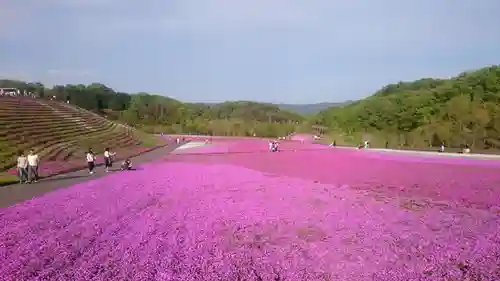 安住神社の景色