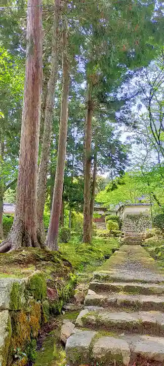 園城寺(三井寺)のその他建物