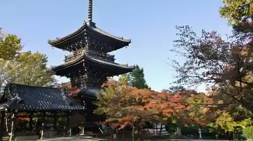 真正極楽寺（真如堂）の塔