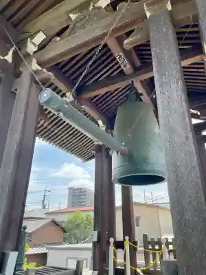 石上寺の{uncategorized: "未分類", other: "その他", undefined: "問題あり", building: "その他建物", grave: "お墓", sacred_gate: "鳥居", guardian: "狛犬", statue: "像", buddha: "仏像", history: "歴史", nature: "自然", garden: "庭園", animal: "動物", pagoda: "塔", temizu: "手水舎", mountain_gate: "山門・神門", sanctuary: "本殿・本堂", subordinate: "末社・摂社", art: "芸術", scenery: "景色", jizo: "地蔵", ema: "絵馬", goshuin: "御朱印", omikuji: "おみくじ", items: "授与品その他", amulet: "お守り", goshuincho: "御朱印帳", eats: "食事", festival: "お祭り", votive_dance: "神楽", shichigosan: "七五三参", wedding: "結婚式", experience: "体験その他", initially: "初詣", around: "周辺", anti_infection: "感染症対策"}