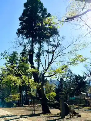 武水別神社(長野県)