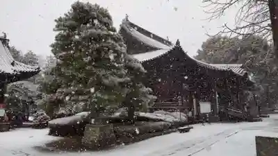 鑁阿寺(栃木県)