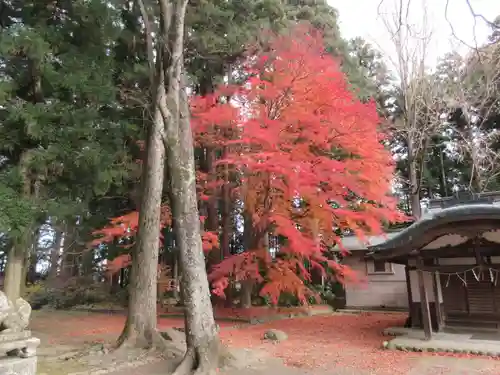 都々古別神社(八槻)の庭園