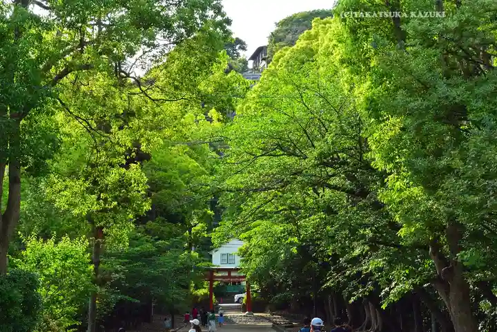 鶴岡八幡宮(神奈川県)