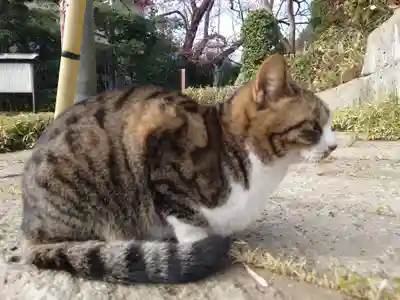 法華経寺(千葉県)
