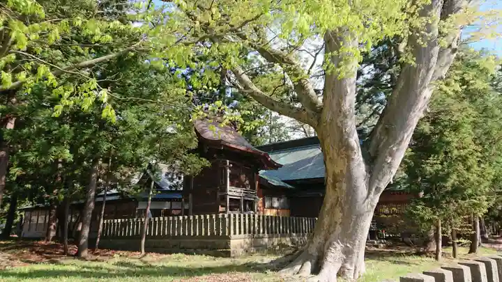蠶養國神社のその他建物