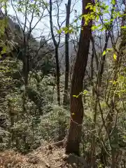 琴平神社の自然