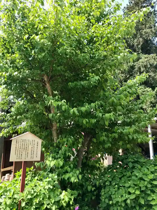 大宝八幡宮(茨城県)