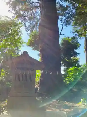 日吉神社(千葉県)