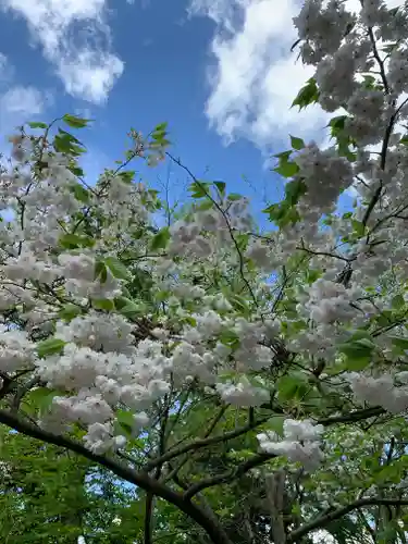 花巻神社の自然