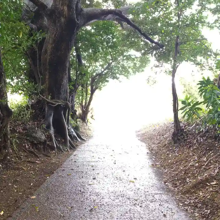 大宮神社の自然