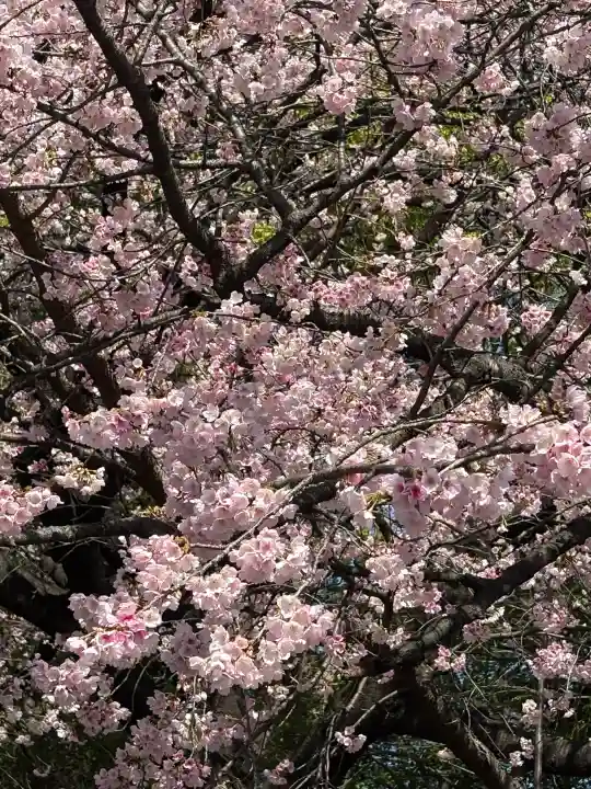 摩利支天 徳大寺の{uncategorized: "未分類", other: "その他", undefined: "問題あり", building: "その他建物", grave: "お墓", sacred_gate: "鳥居", guardian: "狛犬", statue: "像", buddha: "仏像", history: "歴史", nature: "自然", garden: "庭園", animal: "動物", pagoda: "塔", temizu: "手水舎", mountain_gate: "山門・神門", sanctuary: "本殿・本堂", subordinate: "末社・摂社", art: "芸術", scenery: "景色", jizo: "地蔵", ema: "絵馬", goshuin: "御朱印", omikuji: "おみくじ", items: "授与品その他", amulet: "お守り", goshuincho: "御朱印帳", eats: "食事", festival: "お祭り", votive_dance: "神楽", shichigosan: "七五三参", wedding: "結婚式", experience: "体験その他", initially: "初詣", around: "周辺", anti_infection: "感染症対策"}