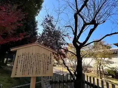 仁和寺(京都府)