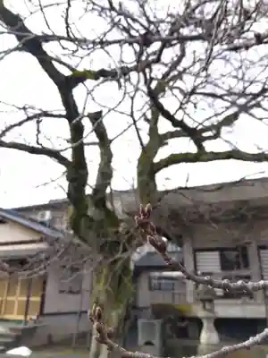 妙経寺(福井県)