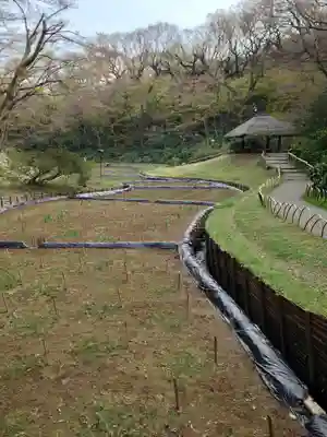 明治神宮(東京都)