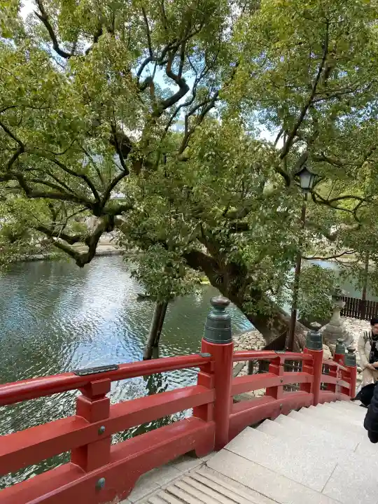 太宰府天満宮の自然