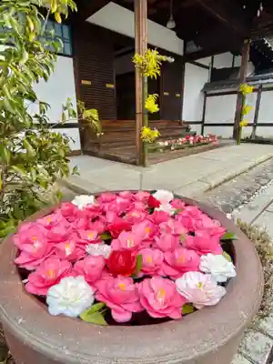 霊鑑寺門跡の手水舎