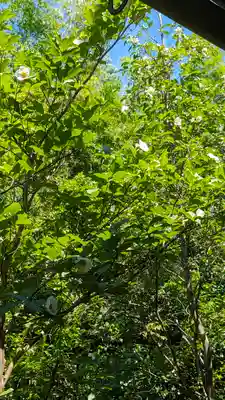 東林院(京都府)