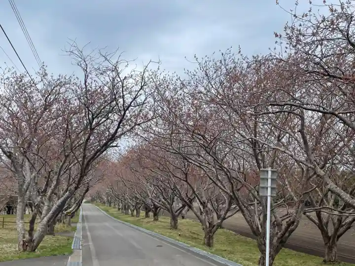 石崎地主海神社の周辺