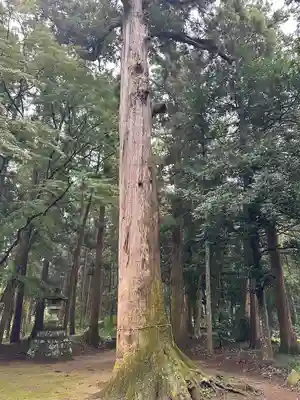 一之宮神社(千葉県)