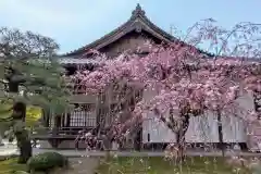 平等院(京都府)