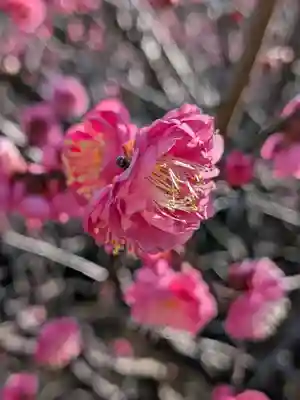 福蔵院(東京都)