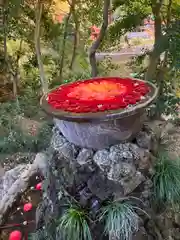 武蔵一宮氷川神社(埼玉県)