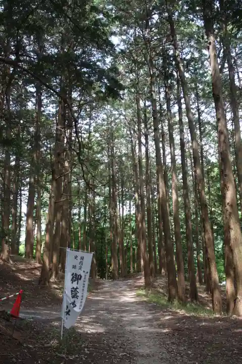 御蔭神社(京都府)