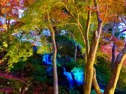 長谷寺(神奈川県)