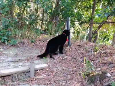 石峯寺(京都府)