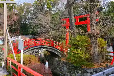 賀茂御祖神社（下鴨神社）(京都府)