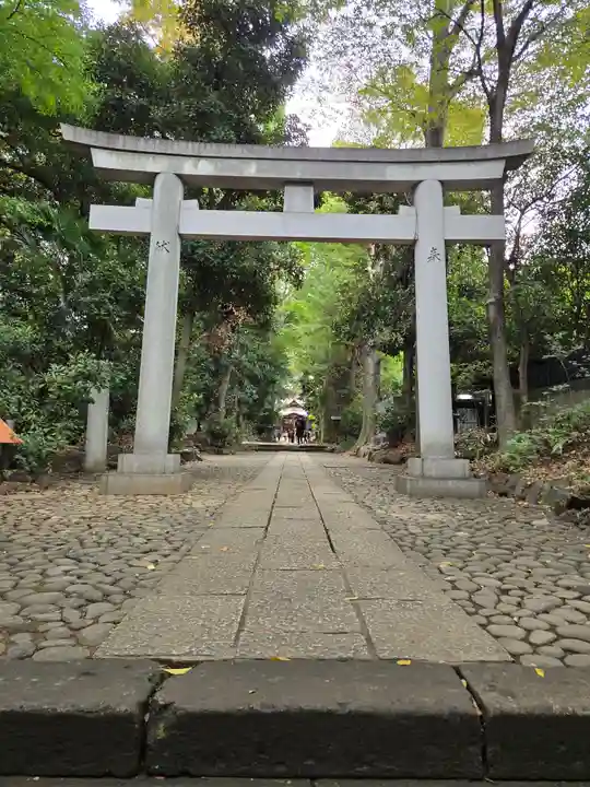 代々木八幡宮の鳥居
